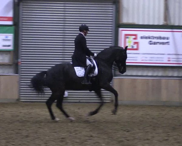Reitturnier Rhede 2023