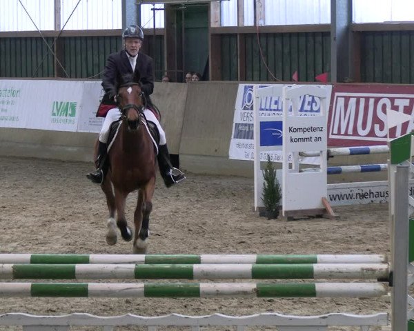 Reitturnier Velen 2023