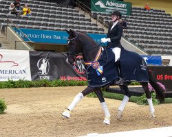 dressage horse Felix (Westphalian, 2015, from Fashion Maker)