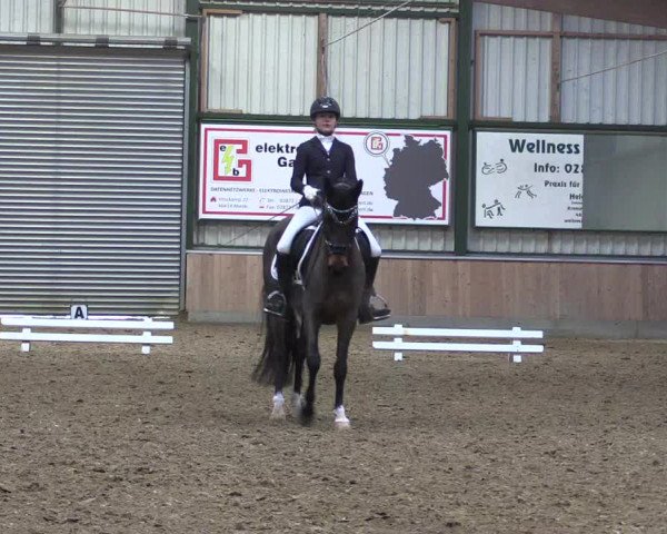 Reitturnier Rhede 2023