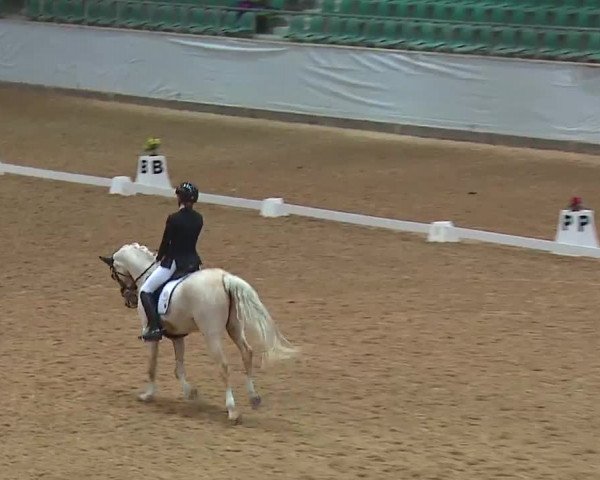 Reitturnier Kreuth 2023