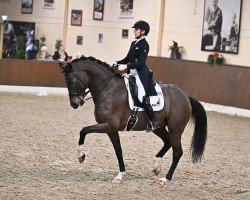 dressage horse Henderson 11 (KWPN (Royal Dutch Sporthorse), 2012, from Glock's Johnson Tn)