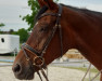 dressage horse Lady Diamant (Bavarian, 2001, from Diamond Hit)