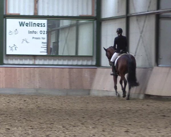 Reitturnier Rhede 2023