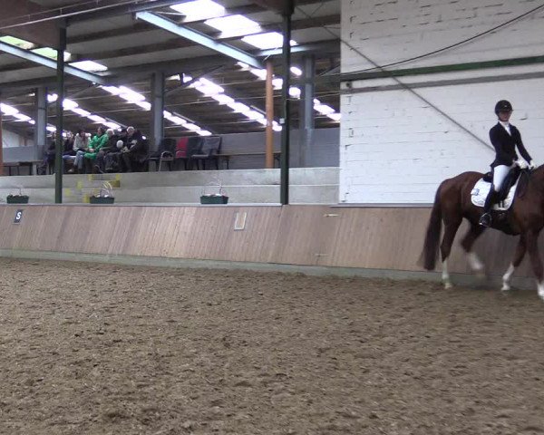Reitturnier Rhede 2023
