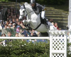 stallion Champion du Lys (Selle Français, 1990, from Laeken)