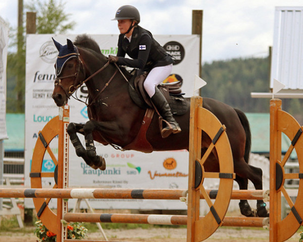 broodmare Orchid's Vienna (New Forest Pony, 2007, from Kantje's Carlando)