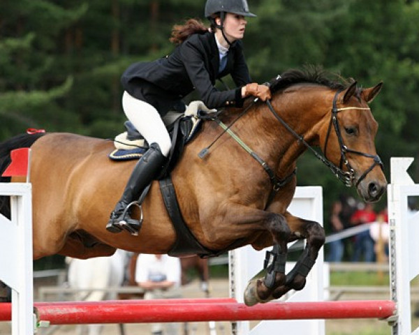 Pferd Parleur (Schwedisches Warmblut, 1998, von Warsteiner)