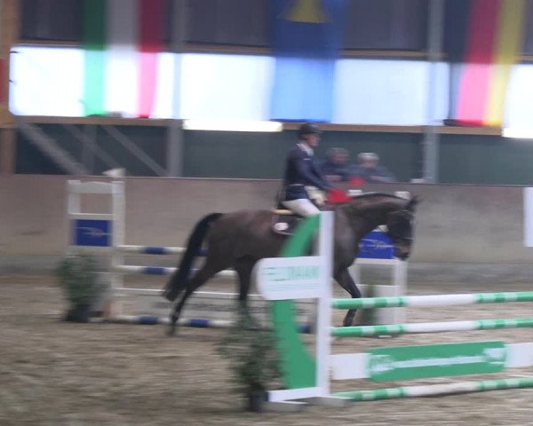 Reitturnier Velen 2023