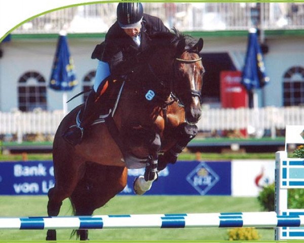 stallion Caridor (Holsteiner, 1991, from Caretino)