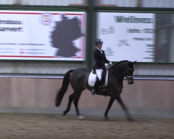 Reitturnier Rhede 2023