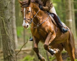 broodmare Ehren's Best (Westphalian, 2005, from Ehrentusch)