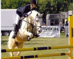 horse Total Eclipse (Welsh-Pony (Section B),  , from Arthen Madog)