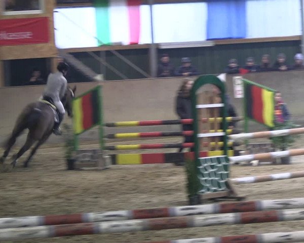 Reitturnier Velen 2023