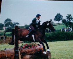 broodmare Hanny (Trakehner, 1990, from Haram Ibn Halima ox)