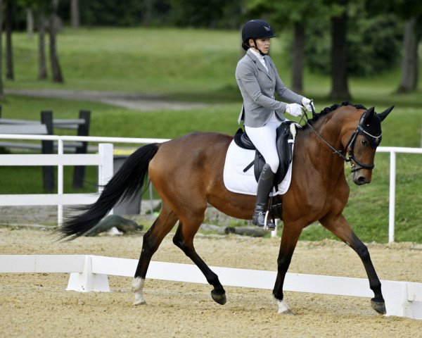 dressage horse Mila Fantastica ST (Austrian Warmblood, 2015, from Alibi)