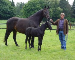 broodmare Walira (Oldenburg, 1991, from Landadel)