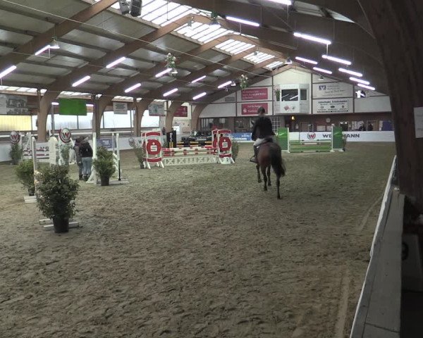 Reitturnier Barlo-Bocholt 2023