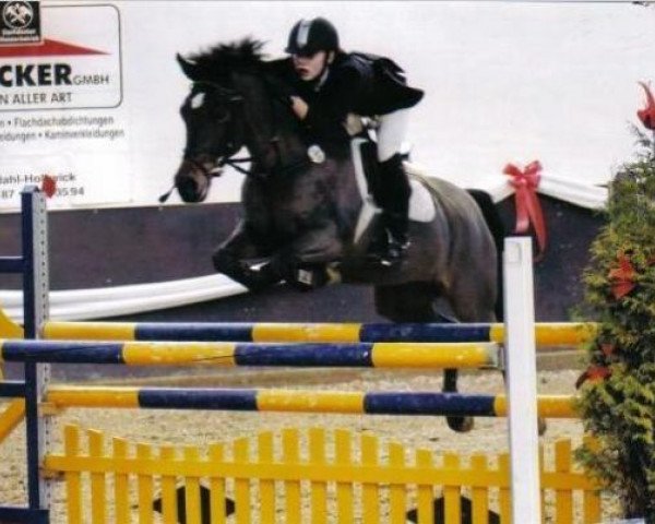 Pferd Pamenia (Deutsches Reitpony, 1998, von FS Pavarotti)