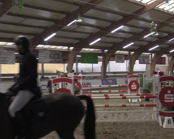 Reitturnier Barlo-Bocholt 2023