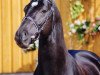 stallion Pharis (Oldenburg, 1994, from Placido)