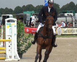 dressage horse Silver-Star (Westphalian, 1998, from Saint Tropez)