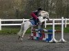 dressage horse Carlos 506 (Nederlands Welsh Ridepony, 1996, from Campari)