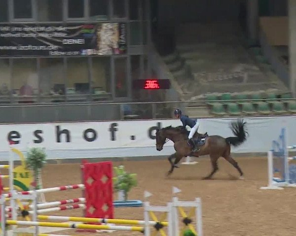 Reitturnier Kreuth 2023