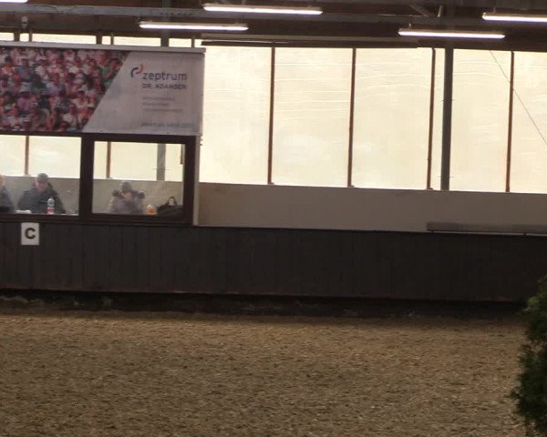 Reitturnier Bochum-Nord 2023
