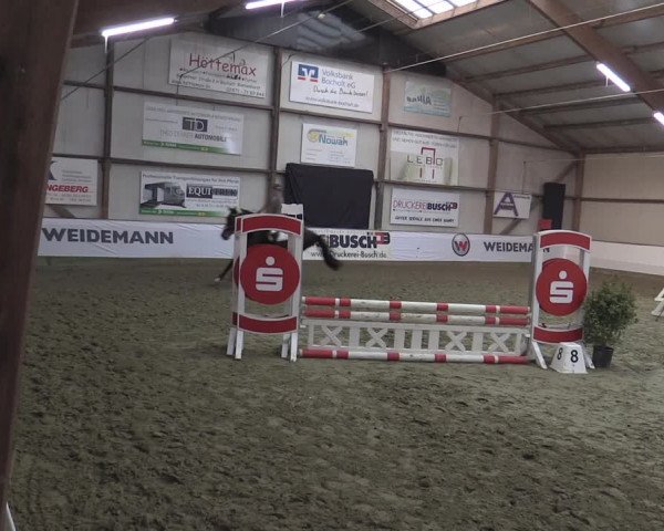 Reitturnier Barlo-Bocholt 2023