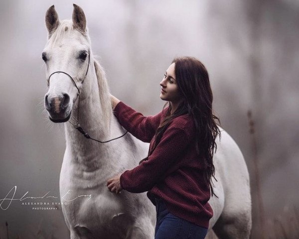 broodmare Rayka Bint Romina (Arabian thoroughbred, 2003, from Nur Ad Dine EAO)