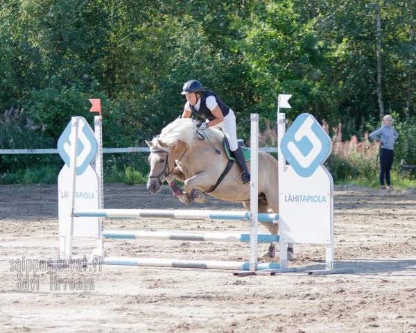 horse Merle (Haflinger, 2010, from World Cup (0,78% ox))