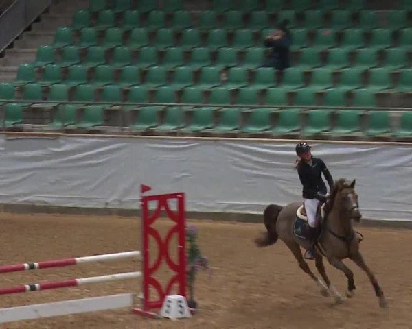 Reitturnier Kreuth 2023