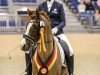 stallion Clevers Kerlchen (German Riding Pony, 2015, from Cosmopolitan NRW)