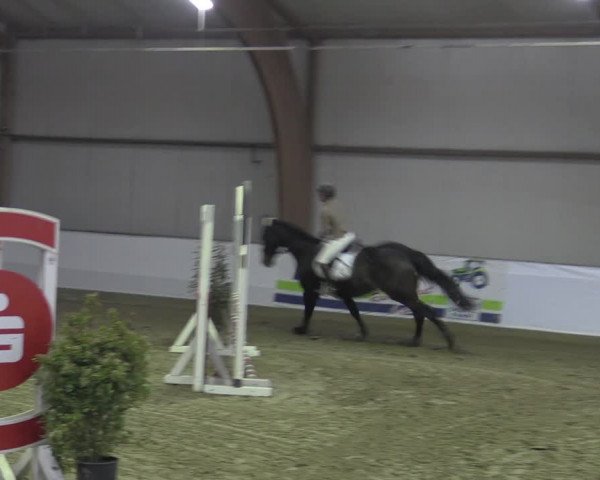 Reitturnier Barlo-Bocholt 2023