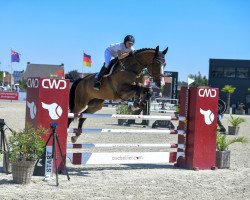 jumper Gjeteruds Olympic (KWPN (Royal Dutch Sporthorse), 2011, from Tobajo Picez)