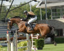 jumper Grandeur 245 (KWPN (Royal Dutch Sporthorse), 2011, from Diamant de Semilly)