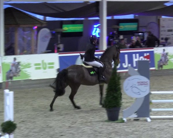 8. Nordic Jumping event Negernbötel 2023