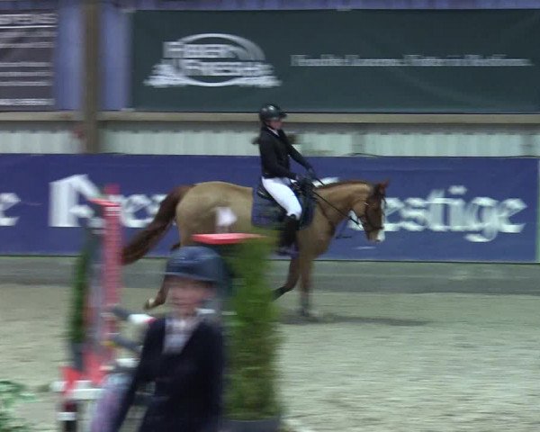 8. Nordic Jumping event Negernbötel 2023
