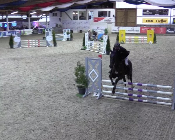 8. Nordic Jumping event Negernbötel 2023