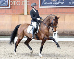 dressage horse Venezia H (Rhinelander, 2012, from Vitalis)