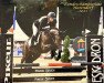 jumper Queen of the Night 7 (German Riding Pony, 2016, from Quaterback's Junior)