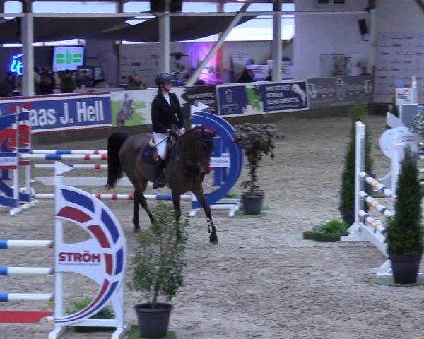 8. Nordic Jumping event Negernbötel 2023