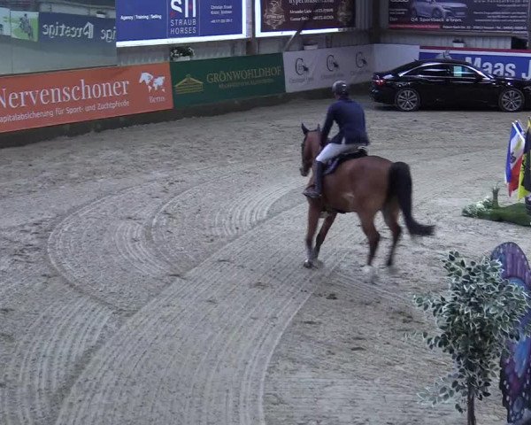 8. Nordic Jumping event Negernbötel 2023
