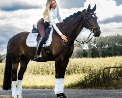 dressage horse Charming Charly (Westphalian, 2005, from Charming 8)