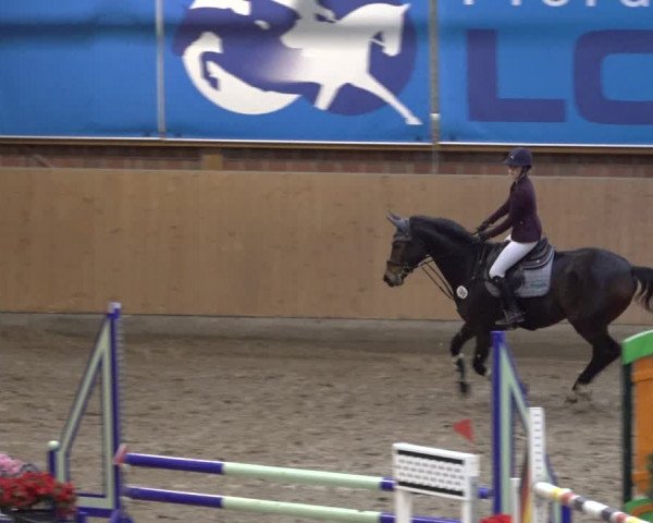 Reitturnier Osterholz 2023