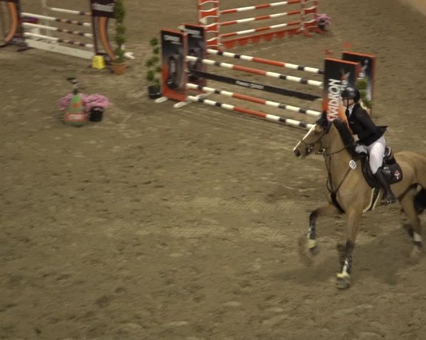 Reitturnier Osterholz 2023