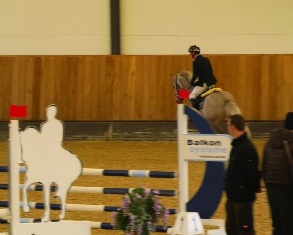 Reitturnier Zwickau 2023
