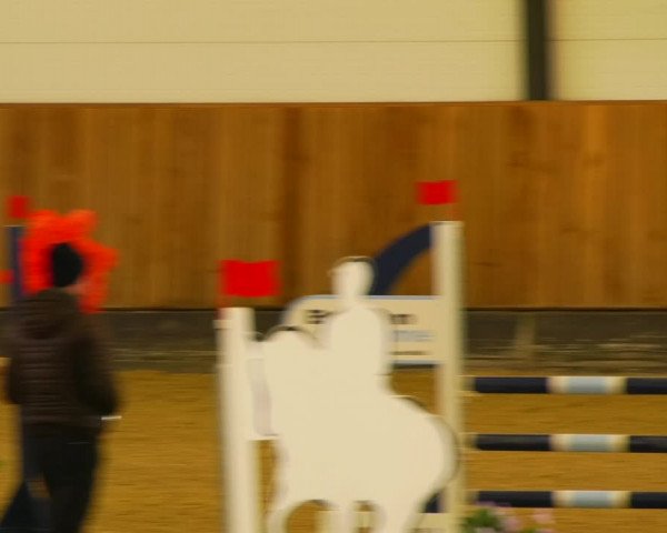 Reitturnier Zwickau 2023