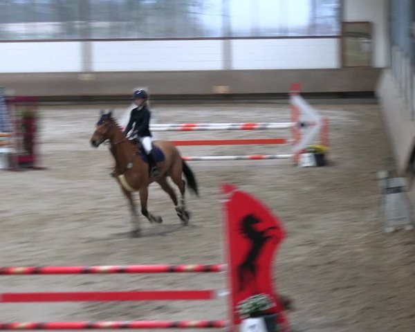 Reitturnier Langenfeld - Gut Landfort 2023